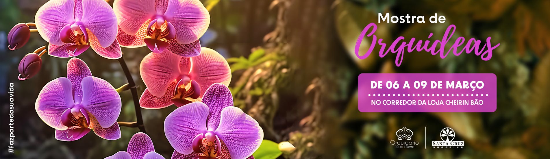 Mostra de Orquídeas