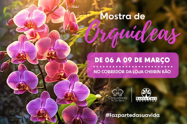 Mostra de Orquídeas